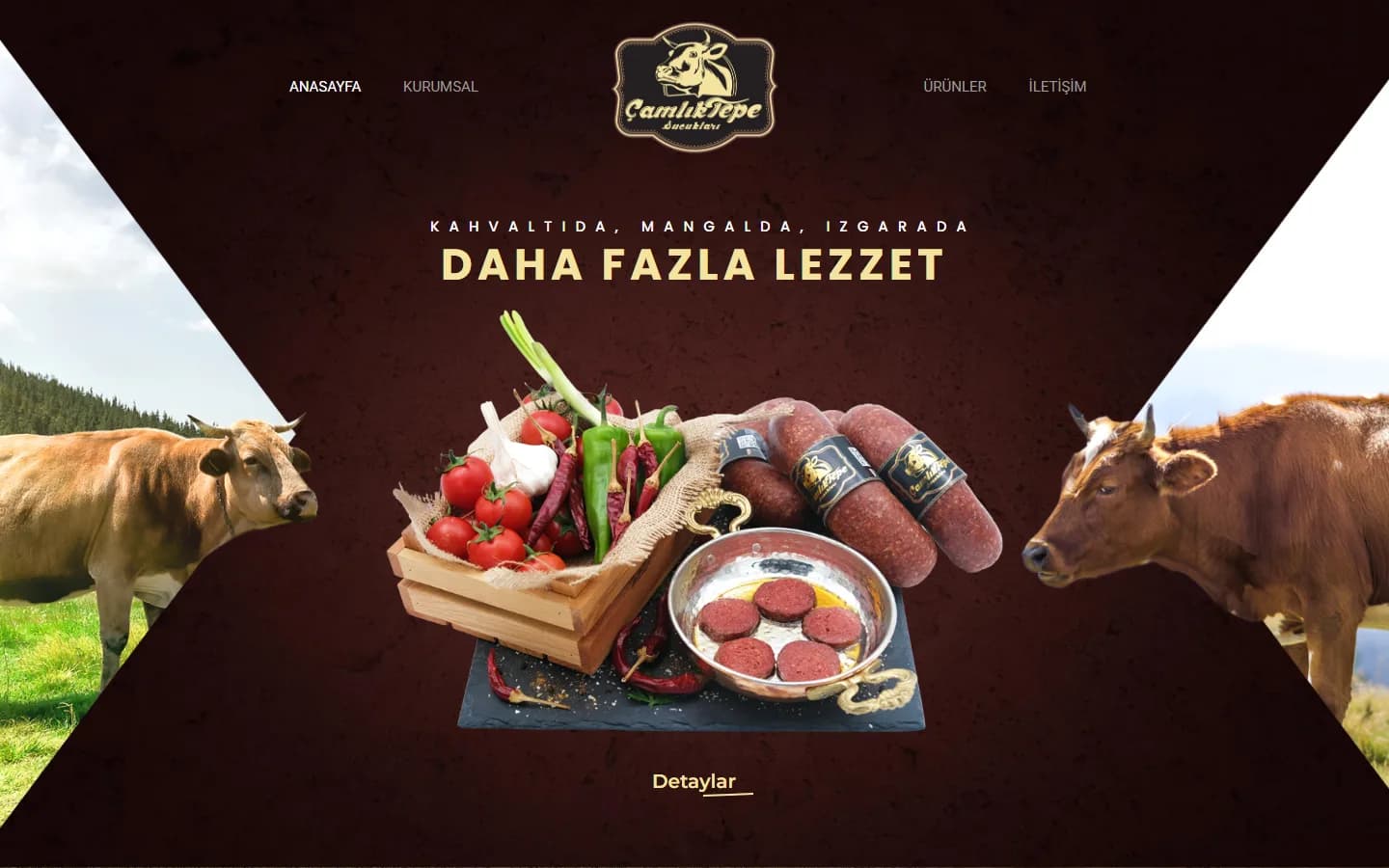 Camlıktepe – Ana sayfa – masaüstü görünüm