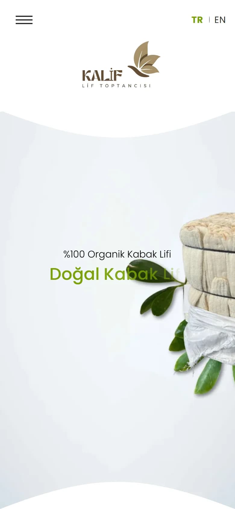 Kabak Lifi Toptancısı – Ana sayfa – mobil görünüm